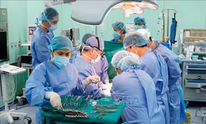 Thành phố Hồ Chí Minh: Phẫu thuật ghép gan thành công cho nhiều bệnh nhi