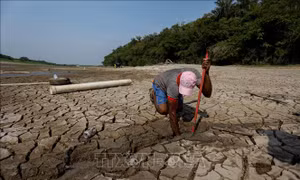 Thế giới 2024: Brazil ghi nhận năm nóng nhất trong hơn 6 thập kỷ