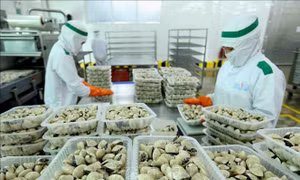 Từ 6 giờ ngày 1/1/2021 sẽ áp dụng tạm thời Hiệp định UKVFTA