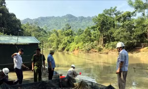 Cá chết hàng loạt, Tuyên Quang khẩn trương lấy mẫu nước phân tích