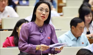 Bên lề Kỳ họp thứ 7, Quốc hội khóa XV: Kiểm soát lạm phát vẫn là áp lực trong ổn định tăng trưởng