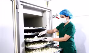 Gia tăng nội lực và giá trị cho sản phẩm OCOP