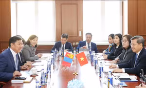 Đoàn đại biểu cấp cao Tòa án nhân dân tối cao Việt Nam thăm và làm việc tại Mông Cổ