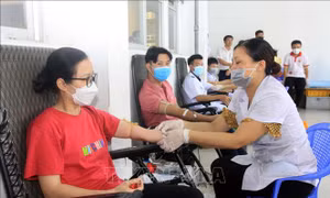 'Giọt hồng quê lúa' tiếp nhận hàng trăm đơn vị máu