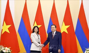 Chủ tịch Quốc hội Trần Thanh Mẫn tiếp Trưởng Nhóm Nghị sĩ hữu nghị Armenia - Việt Nam