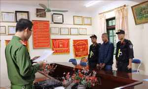 Lai Châu: Khởi tố đối tượng về hành vi hủy hoại hơn 16.800 m2 rừng