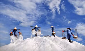 Triển lãm ảnh 'Việt Nam qua ống kính nhiếp ảnh gia quốc tế'