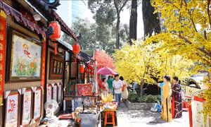 Khai mạc Lễ hội Tết Việt Giáp Thìn 2024 tại Thành phố Hồ Chí Minh