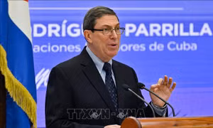 Cuba thúc đẩy đối thoại với kiều dân tại Mỹ