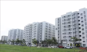 Bộ trưởng Trần Hồng Minh: Nhà ở cho thuê sẽ là phân khúc chiến lược