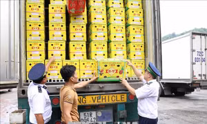 Nhanh chóng, minh bạch nhờ kết nối một cửa quốc gia