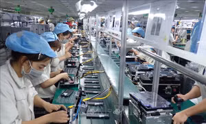 60% doanh nghiệp ngành điện tử lo ngại về kỹ năng lao động