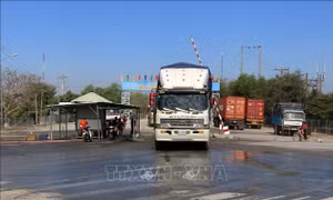 Kiểm soát chặt cửa khẩu, chủ động phòng dịch cúm gia cầm H5N1