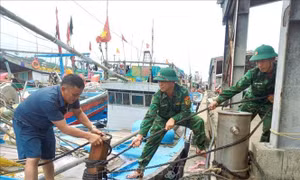 Ứng phó bão số 6: Nghệ An ban hành lệnh cấm biển từ 10 giờ ngày 30/8 