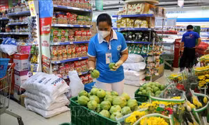Các phương án cung ứng thực phẩm cho TP Hồ Chí Minh và Bình Dương