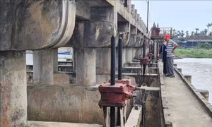 Người dân Quảng Ngãi khổ sở vì đập ngăn mặn hư hỏng, xuống cấp