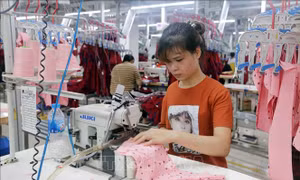 Kim ngạch xuất khẩu dệt may lần đầu trong năm vượt mốc 4 tỷ USD