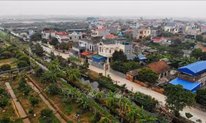 Phát triển nông nghiệp thịnh vượng, nông dân giàu có, nông thôn hiện đại