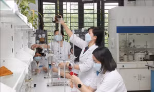 Hai luật có hiệu lực từ ngày 1/10/2025