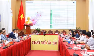 Doanh nghiệp Liên bang Nga tìm hiểu cơ hội đầu tư tại Cần Thơ