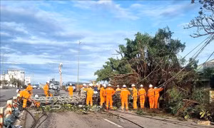Truyền tải điện 3 khôi phục toàn bộ lưới điện bị ảnh hưởng