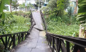 Đồng Tháp: Xe chở nước đá làm sập cầu Cái Tôm Trong