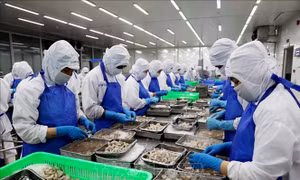 Tham gia sâu hơn vào chuỗi giá trị toàn cầu