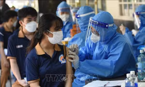 Tổng hợp COVID-19 ngày 27/1: Mở cửa trường học, đón khách du lịch vừa làm vừa rút kinh nghiệm
