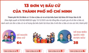 13 đơn vị bầu cử của Thành phố Hồ Chí Minh