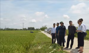 Ba huyện, thành phố hoàn thành nhiệm vụ xây dựng/đạt chuẩn nông thôn mới năm 2020