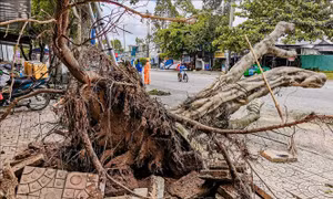 Cần Thơ: Hỗ trợ người dân bị ảnh hưởng do mưa dông