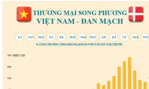 Thương mại song phương Việt Nam - Đan Mạch