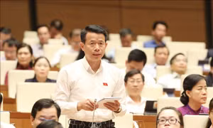 Có thể dùng cát biển cho các công trình giao thông trọng điểm 