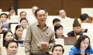 Cử tri tỉnh Thanh Hóa: Mong muốn tiếp tục tháo gỡ khó khăn, hỗ trợ doanh nghiệp phục hồi sản xuất, kinh doanh