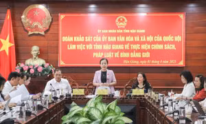 Duy trì, phát triển cán bộ nữ có năng lực trong quá trình sắp xếp bộ máy