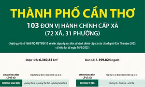 Thông tin chi tiết sắp xếp các đơn vị hành chính cấp xã của thành phố Cần Thơ