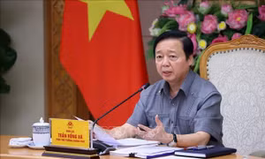 Lựa chọn 'đúng và trúng' dự án cấp bách cho Đồng bằng sông Cửu Long