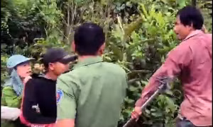 Hệ lụy từ một dự án lâm nghiệp buông lỏng quản lý, bảo vệ rừng
