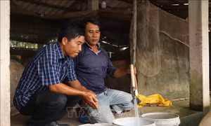 Người dân vùng biển Cần Thơ 'khát' nước sạch