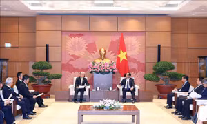 Phó Chủ tịch Quốc hội Trần Quang Phương tiếp Thống đốc tỉnh Tochigi, Nhật Bản