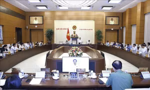 Bổ sung quy định nghiêm cấm mua bán bào thai
