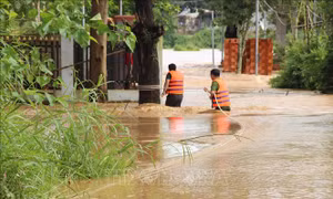 Lũ, triều cường dâng cao gây nhiều thiệt hại tại các địa phương