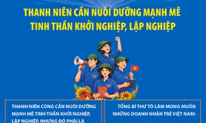 Thanh niên cần nuôi dưỡng mạnh mẽ tinh thần khởi nghiệp, lập nghiệp