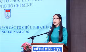 Tối ưu hóa nguồn lực từ các tổ chức phi chính phủ nước ngoài