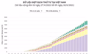 Dữ liệu đợt dịch COVID-19 thứ 4 tại Việt Nam