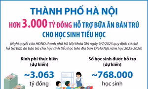 Thành phố Hà Nội: Hơn 3.000 tỷ đồng hỗ trợ bữa ăn bán trú cho học sinh tiểu học