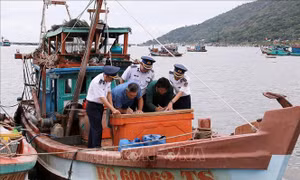 Thủ tướng yêu cầu tập trung thực hiện tháng cao điểm chống khai thác hải sản bất hợp pháp
