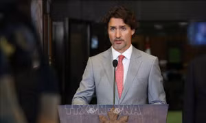 Canada gấp rút tìm kiếm Toàn quyền mới