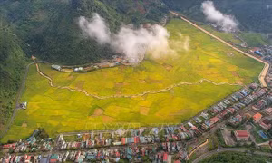 Quyến rũ 'dải lụa vàng' ở thung lũng Mường Khương 