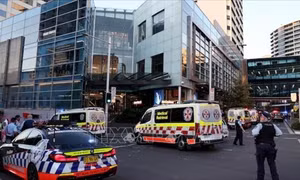 Bé gái 1 tuổi tử vong sau nhiều giờ bị bỏ quên trong xe ở Sydney